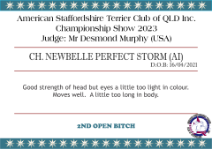 CH. NEWBELLE PERFECT STORM
